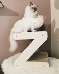 lettre z au format xl pour chat