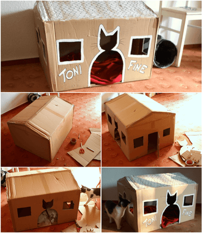 Photo d'une cabane en carton pour chat
