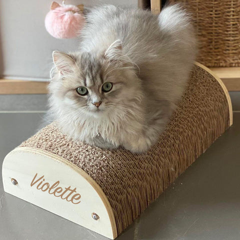 Violette-année-2024-griffoir-personnalisé-chat-homycat-prenom chat V W X Y Z