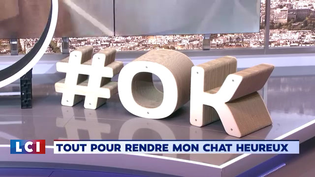 Griffoirs pour chats Homycat sur LCI
