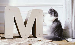 griffoir forme lettre et symbole durable chat français