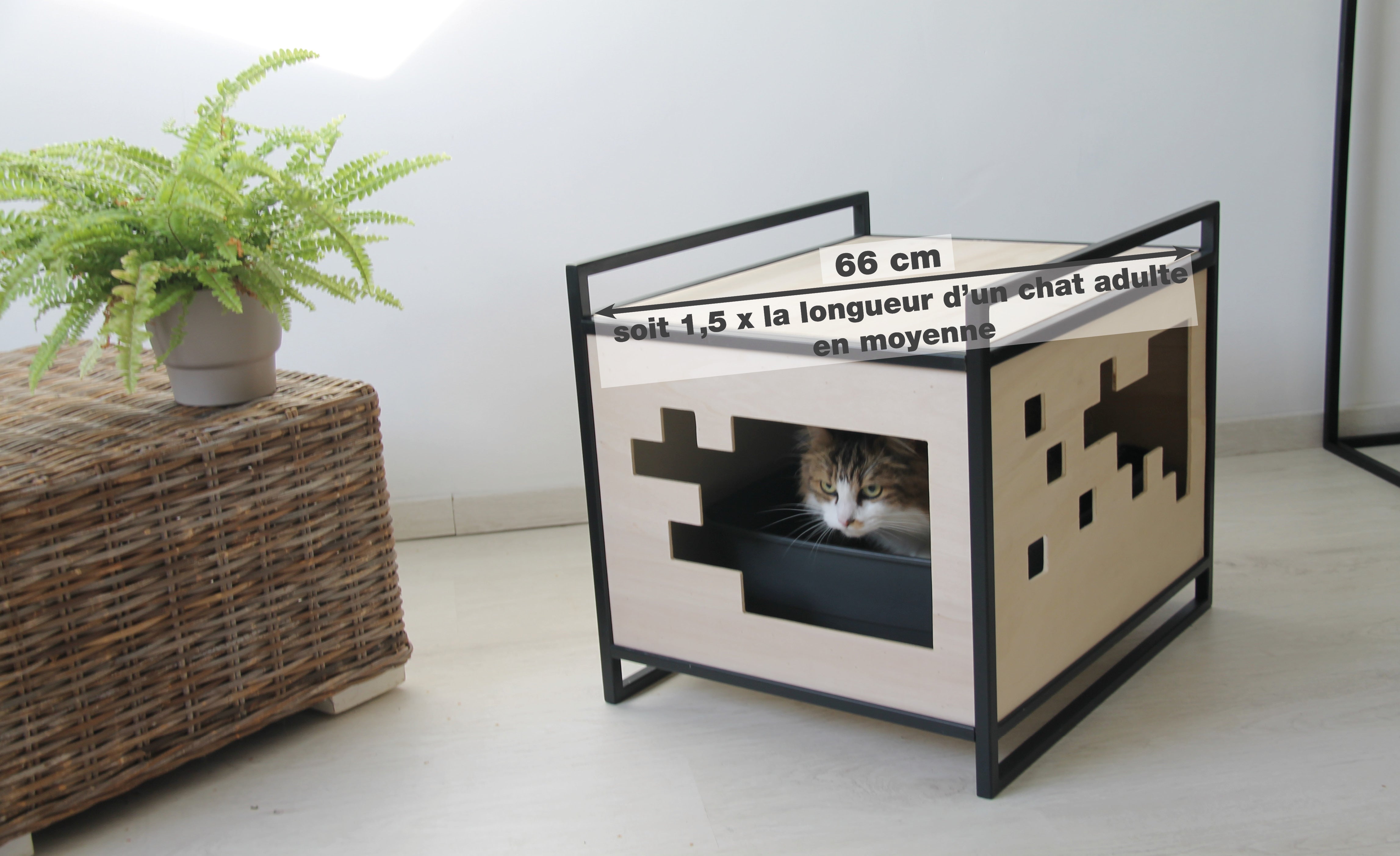 Maison de toilette litiere grand chat homycat