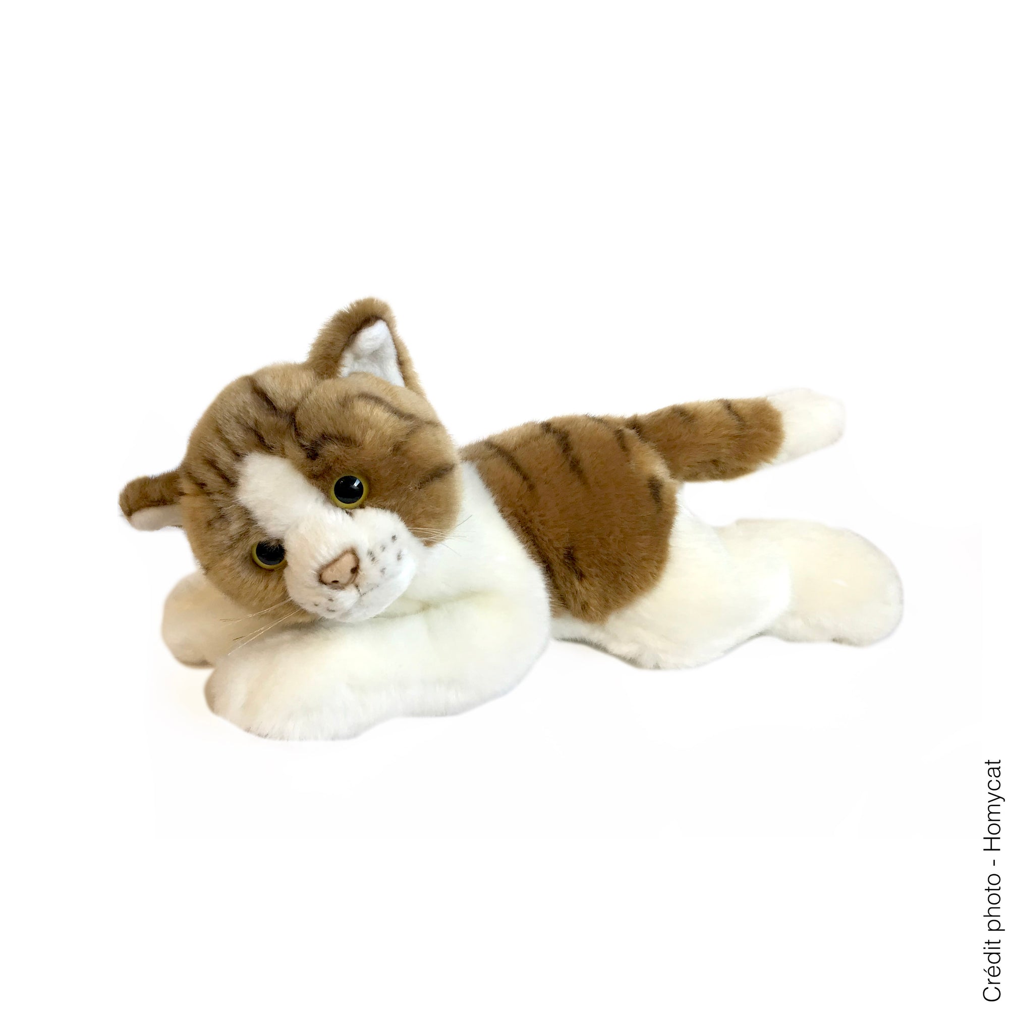 Peluche Chat Gris Ou Roux Homycat