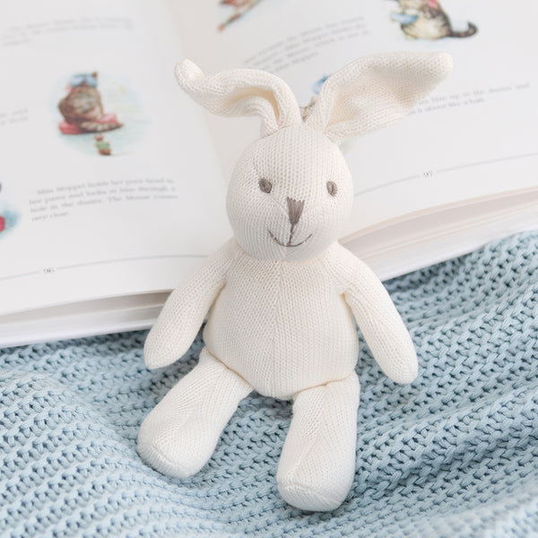 White bunny with books 