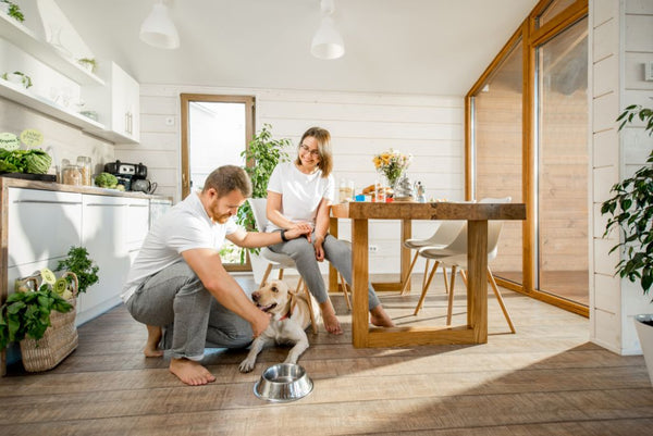 Woman and man in kitchen with dog