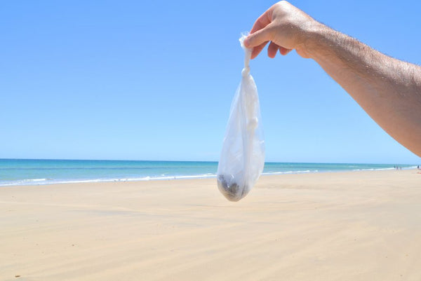 Person holding dog poo bag at beach