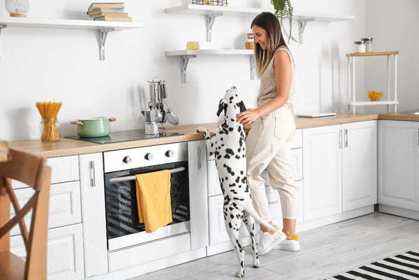 Woman in kitchen with Dalmation leaning on counter