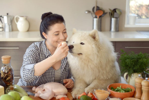 woman showing dog an egg