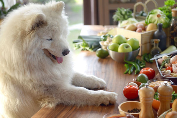 Dog leaning on kitchen counter, looking at vegetables