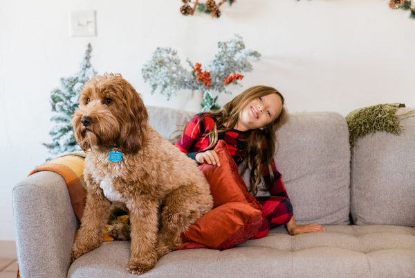 Dog and child at Christmas