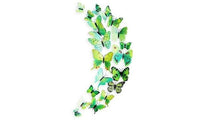 12-Piece Set: 3D Butterfly Magnets - Assorted Colors / Green