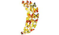 12-Piece Set: 3D Butterfly Magnets - Assorted Colors / Yellow