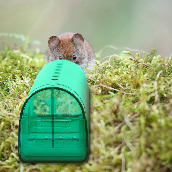 https://cdn.shopify.com/s/files/1/0326/2971/9176/products/2-pieces-reusable-humane-mouse-trap-pest-control-dailysale-514762_600x.jpg?v=1626908928