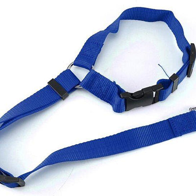 Adjustable Pet Harness Seat Belt / Blue