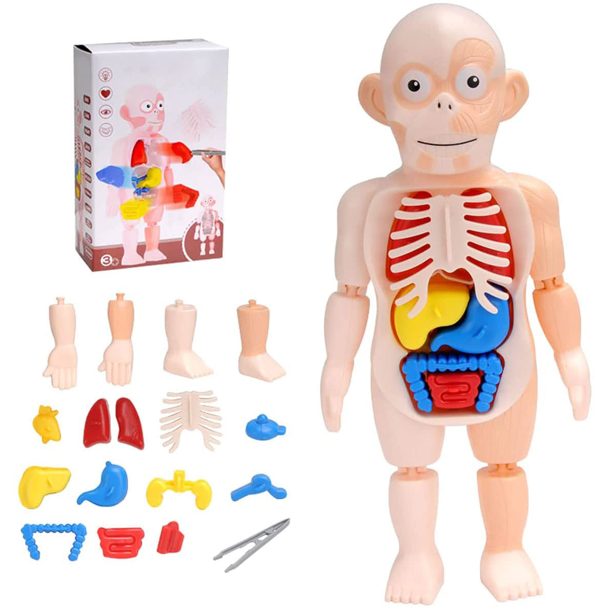 Baby Infant kids Toys