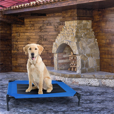 Elevated Dog Cot Bed / Large