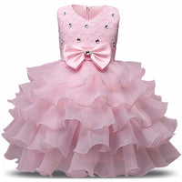 Girl Dress Kids Ruffles Lace Party Wedding Gown / Pink / 6-12 Months
