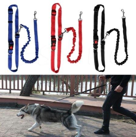 Hands Free Running Bungee Dog Leash - Assorted Colors Pet Supplies Black - DailySale