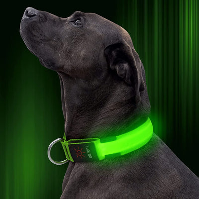 LED Pet Collar / Green / Large