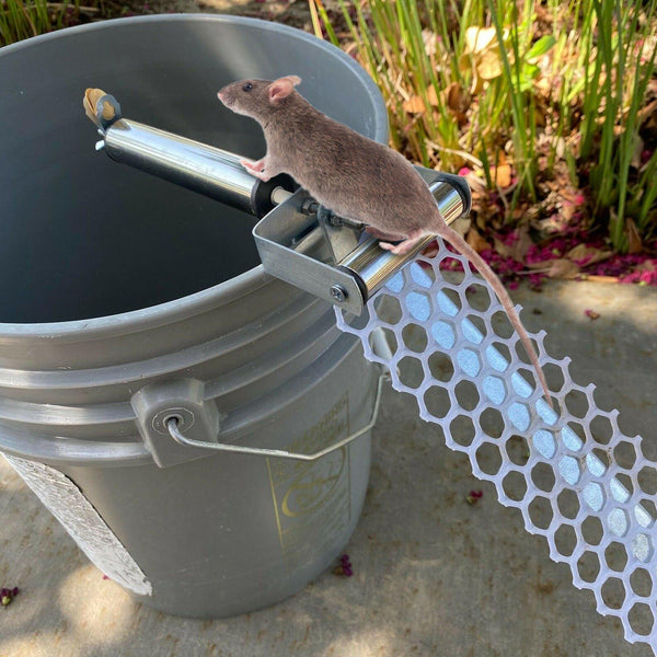 Rotatable Roll Into Bucket Mice Trap Rolling Mouse Rats Rodent Catch  Mousetrap