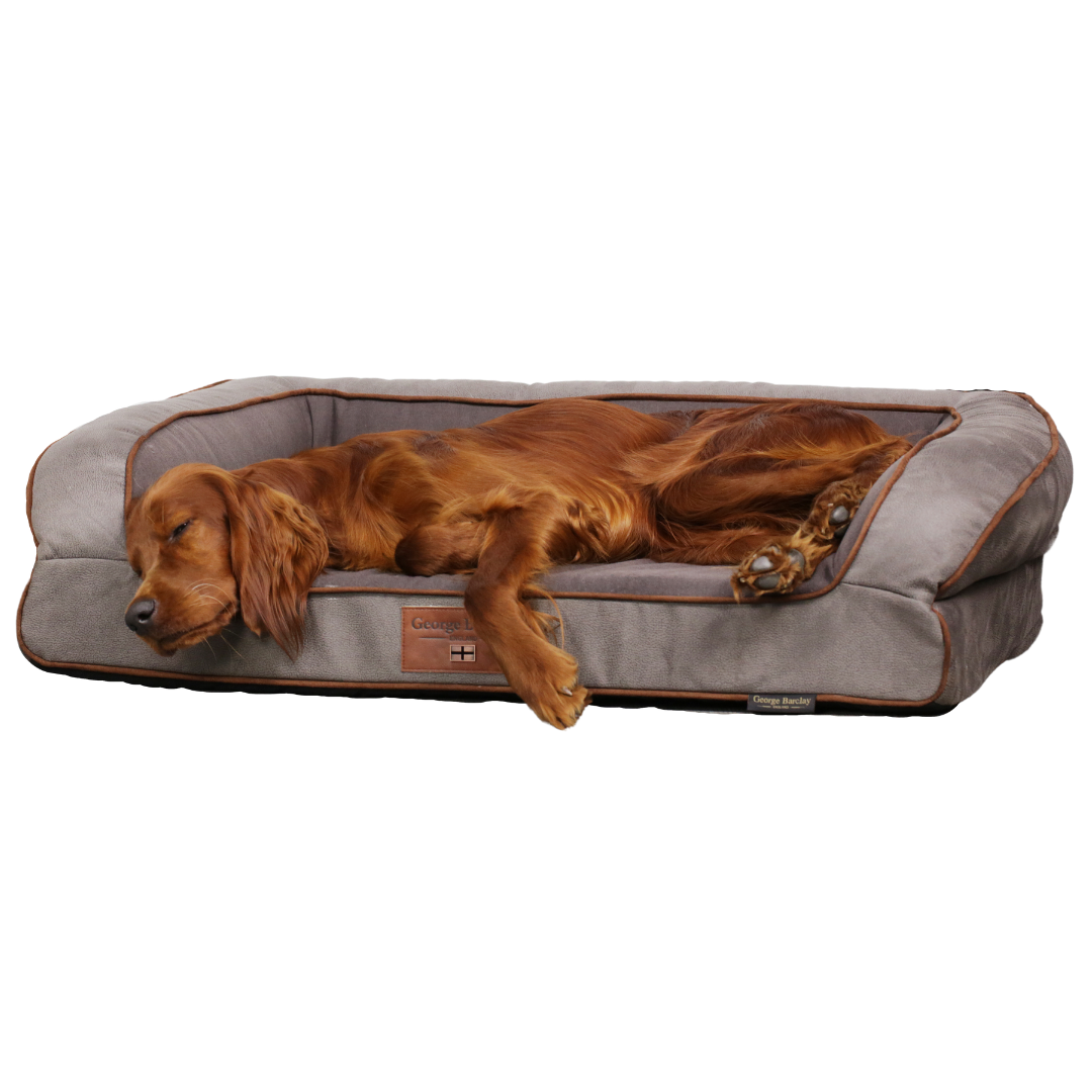 Large Dog Sofa Bed - With Orthopaedic Memory Foam Topper