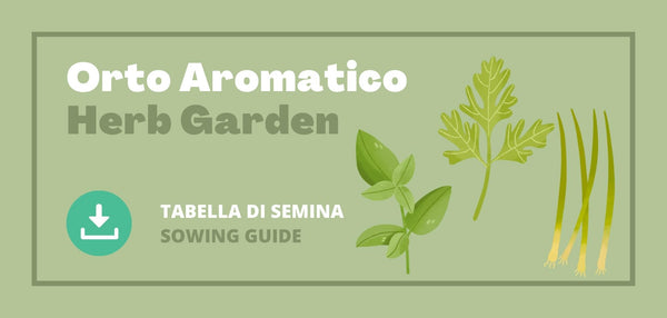 tabella di semina orto aromatico