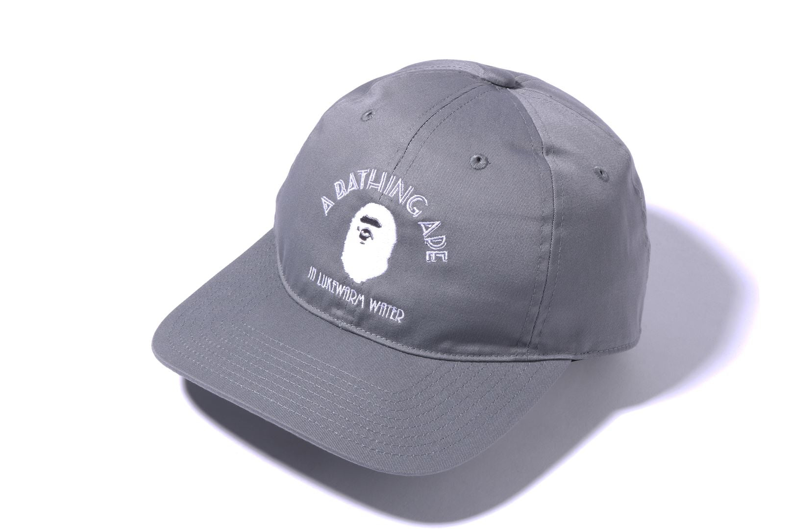 A BATHING APE PANEL CAP 2