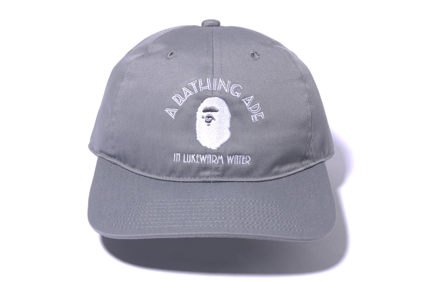 A BATHING APE PANEL CAP 2