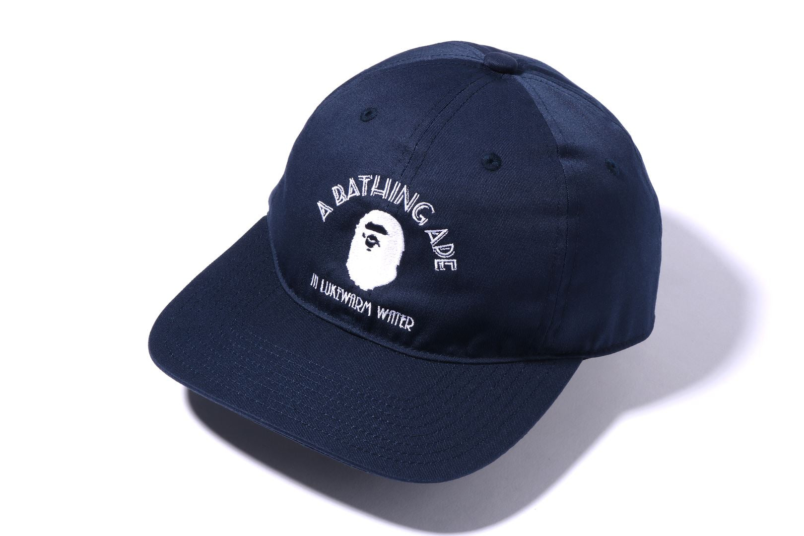 A BATHING APE PANEL CAP 2