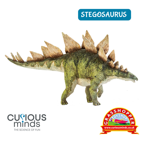 STEGOSAURUS WAS THE LEAST INTELLIGENT DINOSAUR