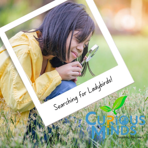 A polaroid of young girl searching through wild grasses with a magnifying glass. The bottom of the polaroid reads 'searching for ladybirds'.