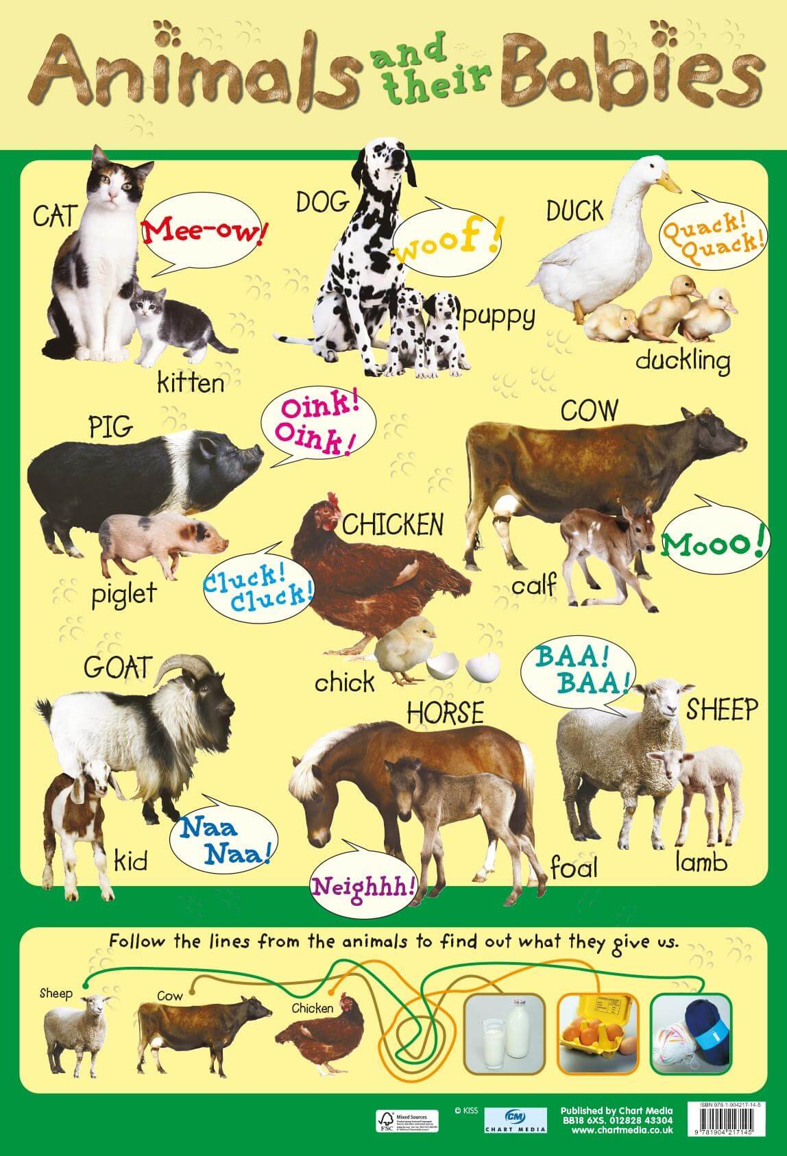 Common Animals Chart