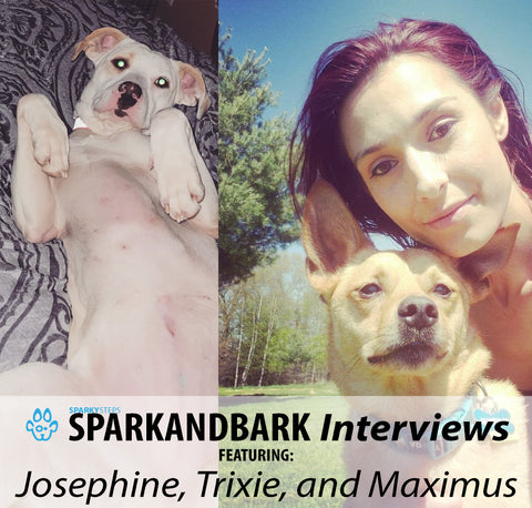 Josephine, Trixie, and Maximus