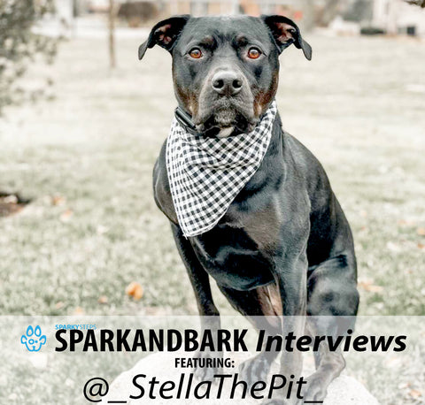 Article - Sparky Steps - SPARKandBARK INTERVIEWS - _StellaThePit_