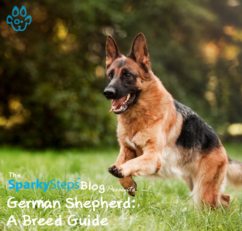 Article - Sparky Steps Chicago Pet Sitters - German Shepherd - A Breed Guide