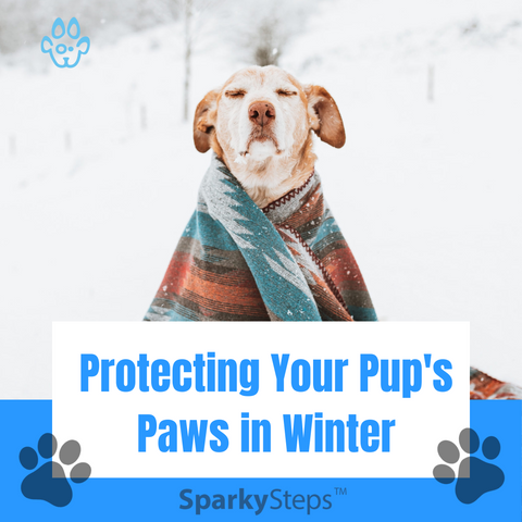 Protecting Your Pups Paws In Winter