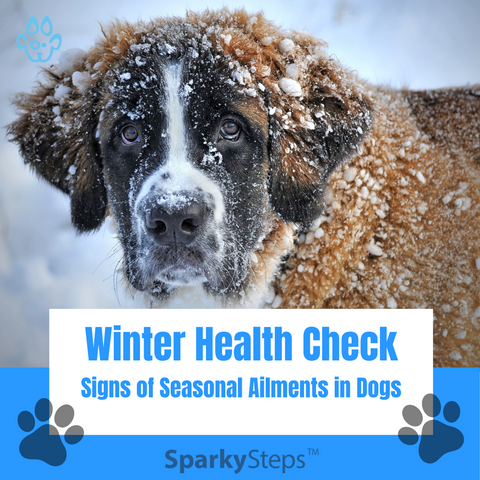 Sparky Steps Winter Health Check