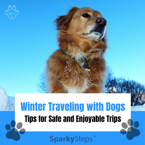 Sparky Steps Winter Traveling with Dogs Tips for Safe and Enjoyable Trips