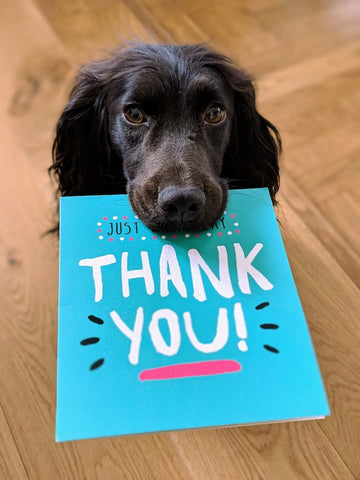 Dog Saying Thank You With A Card