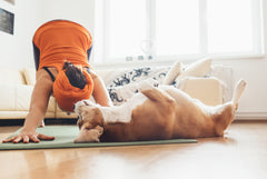Person doing yoga with their dog