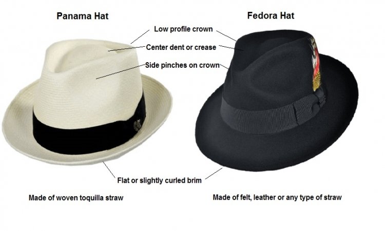 Wears a hat перевод. Федора трилби. Шляпа Fedora Trilby выкройка. Шляпа Федора Лаваль. Название частей шляпы.