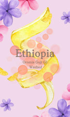 ethiopia coffee