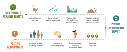 Eden Projects Reforestation Solution