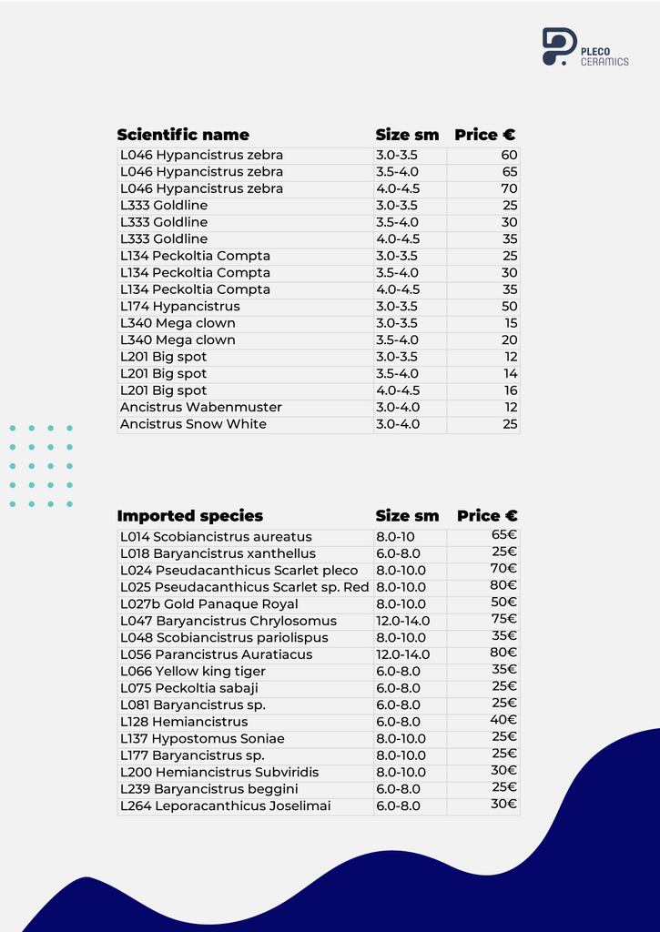 plecos price list plecoceramics