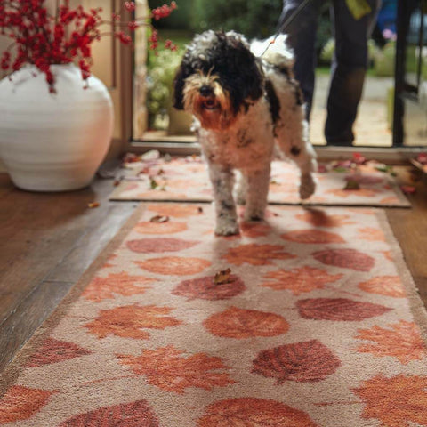 A dog walking over a front doormat with an autumn leaves design