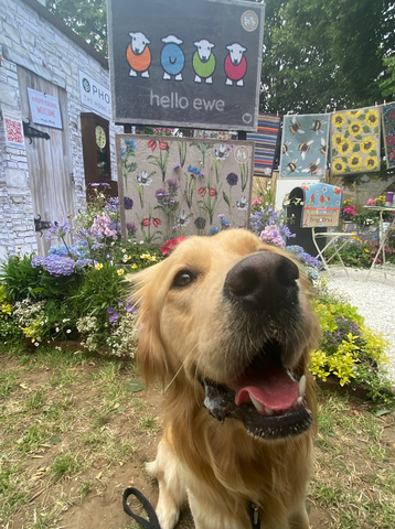 Dog in front of Hug Rug stand