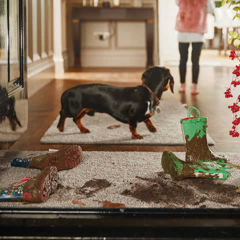 Muddy Dog on Hug Rug