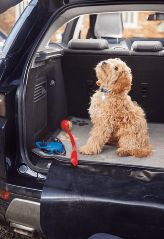 Dog in car boot protected by car boot mat