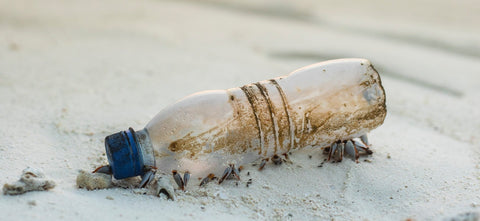 Plastic Bottle On The Beach