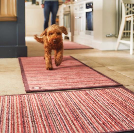 A dog running across red stripy runners on a kitchen floor